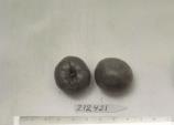 FRUIT